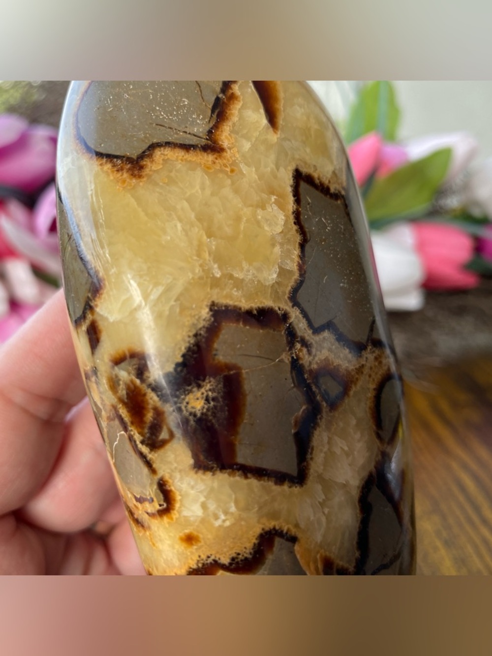 Septarian Freeform - Picture 5 of 12
